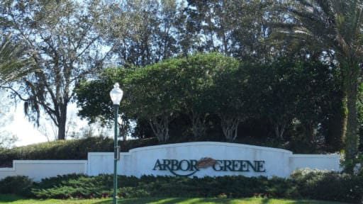 Arbor Green