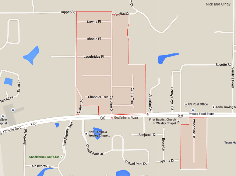 Citrus Trace Community