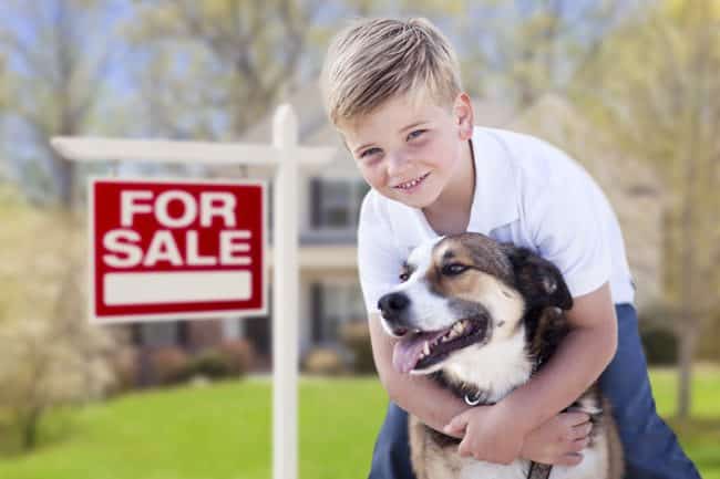 7 Tips for Pet Owners Selling a Home