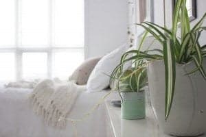 Refresh Your Space for Spring with these 5 Easy Ways