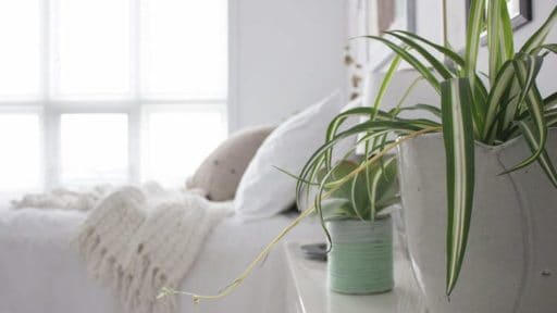Refresh Your Space for Spring with these 5 Easy Ways