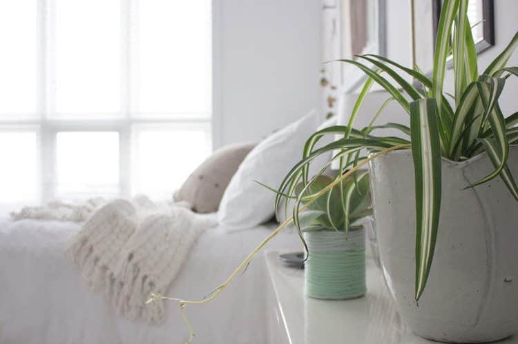 Refresh Your Space for Spring with these 5 Easy Ways