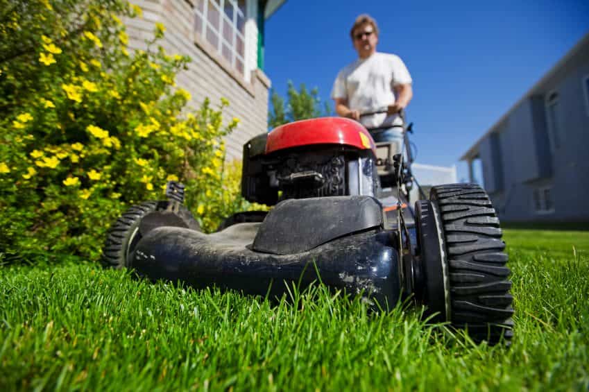 4 Spring Lawn Care Tips to Grow Curb Appeal