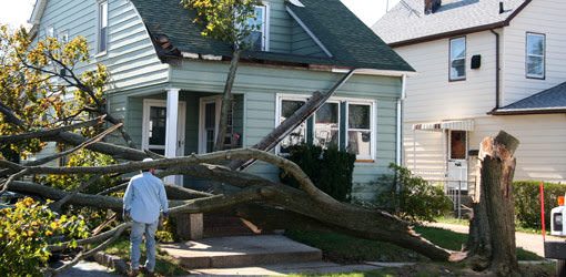 wind damage