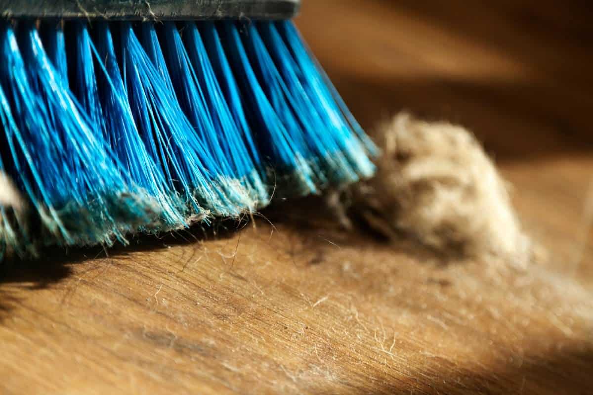 How to Eliminate Dust From Every Room inside your Home