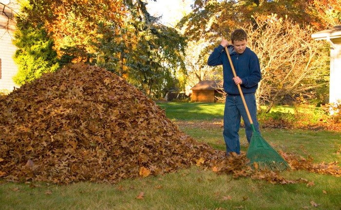 Approaches to Prep Your Yard for Winter