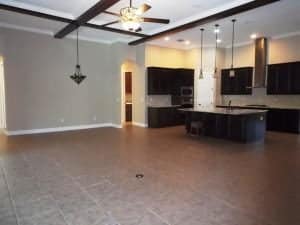 great room 20222 Oak Thorn Way Tampa FL 33647