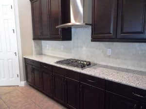 kitchen 2 20222 Oak Thorn Way Tampa FL 33647