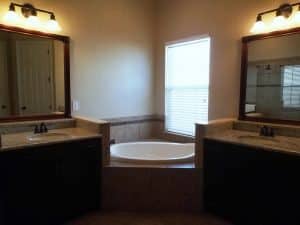 master bath 2 20222 Oak Thorn Way Tampa FL 33647