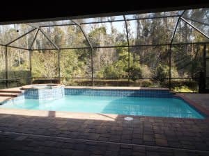 pool 3 20222 Oak Thorn Way Tampa FL 33647