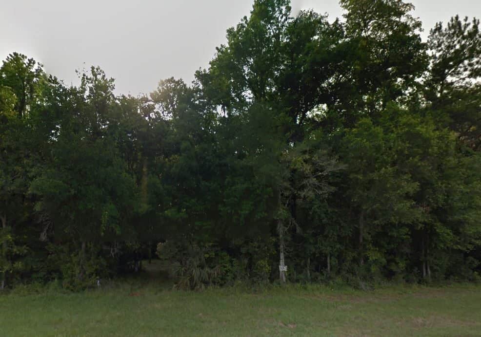 Vacant Land Hernando County