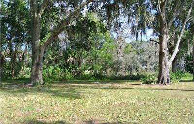 Vacant Land Hillsborough County