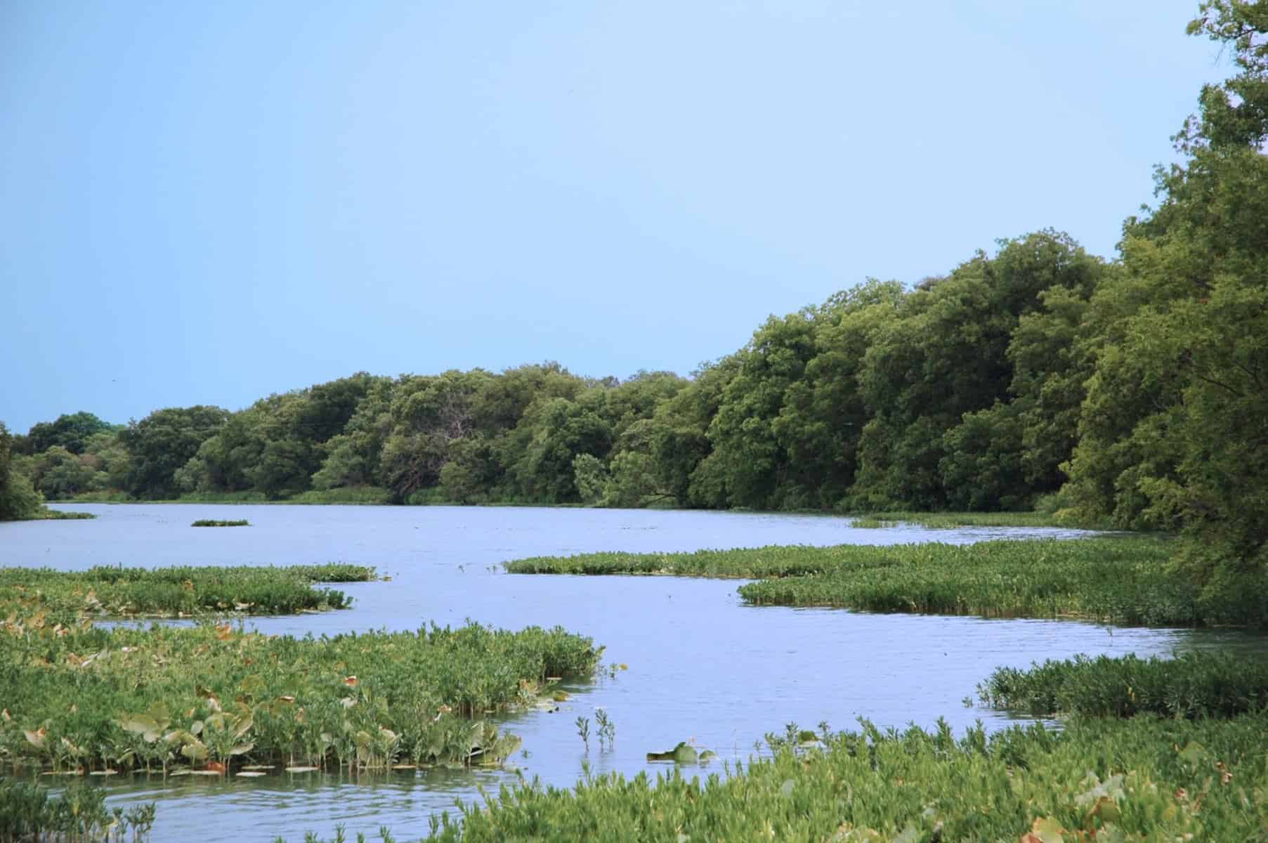 Vacant Land Polk County