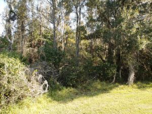 view 20222 Oak Thorn Way Tampa FL 33647