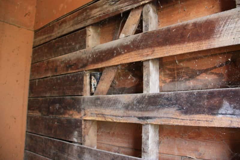 Restorations Reveal Secrets Lurking behind Walls