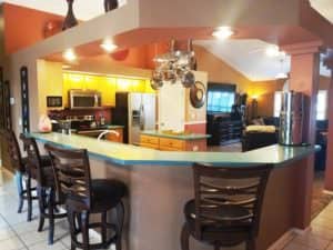 18501 ENCLAVE PL, TAMPA, FL 33647 kitchen