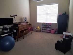 30630 PALMERSTON PL, Wesley Chapel, FL 33545 dining