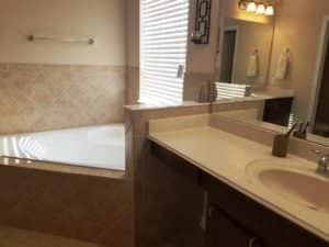 30630 PALMERSTON PL, Wesley Chapel, FL 33545 master bath