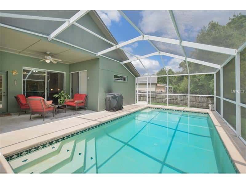 pool 28909 STORMCLOUD PASS WESLEY CHAPEL FL 33543