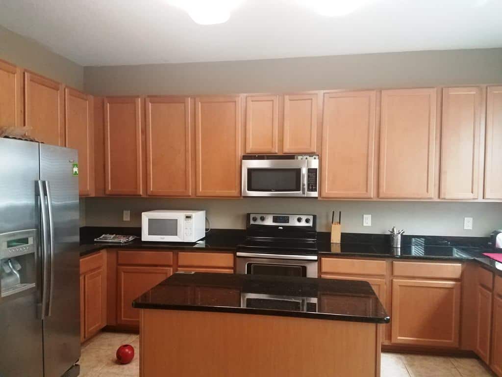 4328 Hanbury DR Wesley Chapel FL 33545