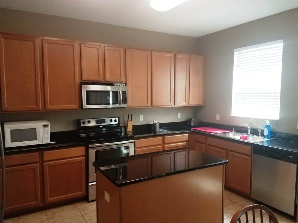 4328 Hanbury DR Wesley Chapel FL 33545