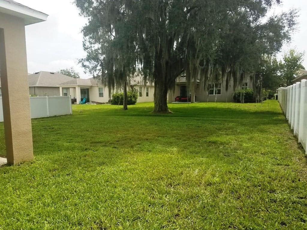 4328 Hanbury DR Wesley Chapel FL 33545