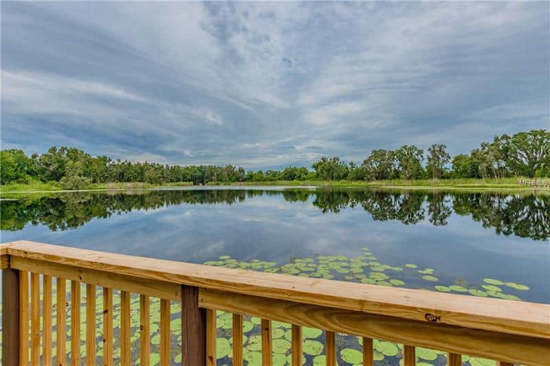 21319 MARSH HAWK DR, LAND O LAKES, FL 34638