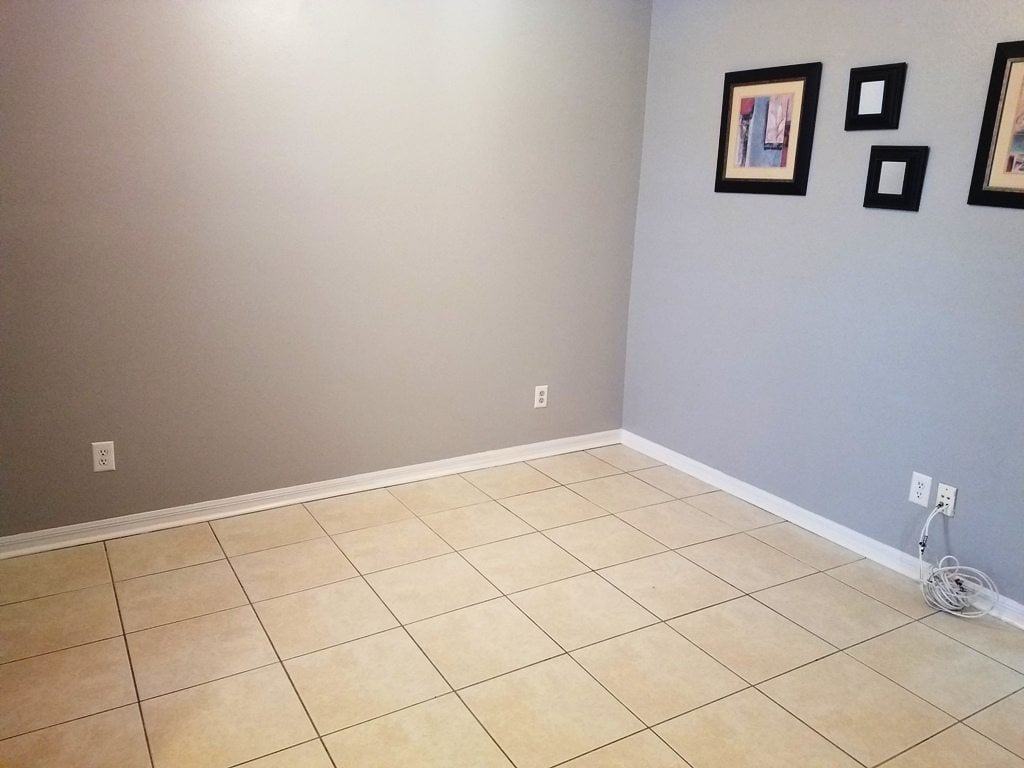 1248 beckenham Way Wesley Chapel FL 33543