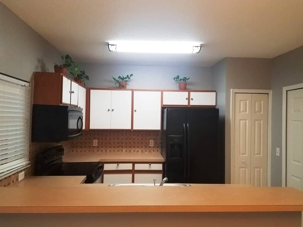 1248 beckenham Way Wesley Chapel FL 33543