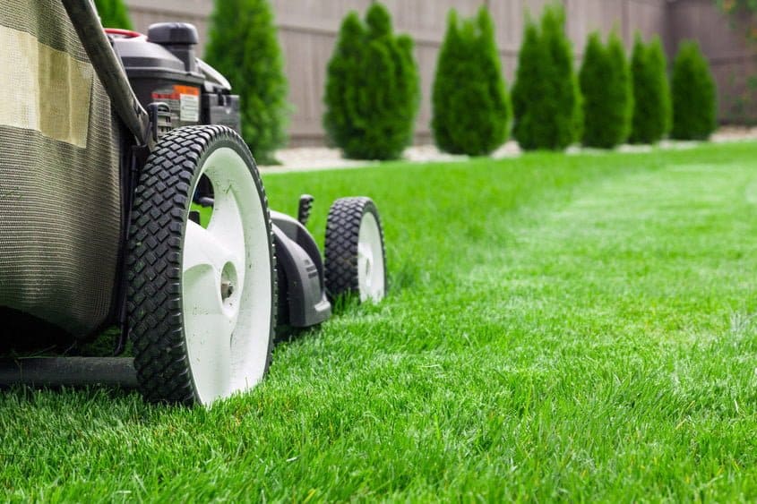 4 Lawn Care Recommendations For a Lush Spring