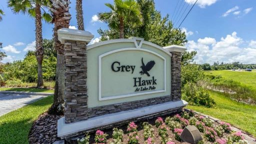 Grey Hawk