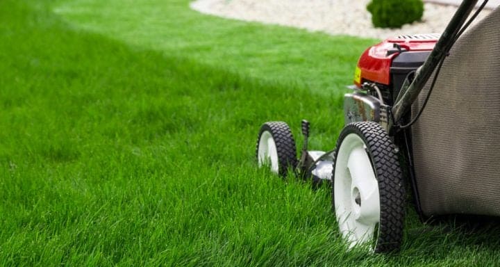 Do’s and Don’ts of Lawn Care