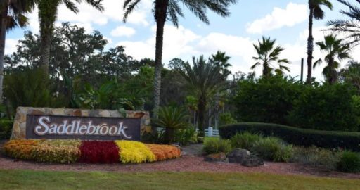 Saddlebrook