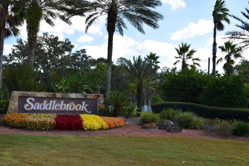 Saddlebrook