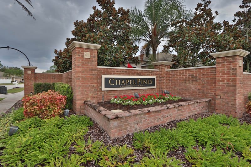 Chapel Pines