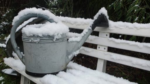 5 Winter Assignments that Prepare for Your Best Spring Garden Yet