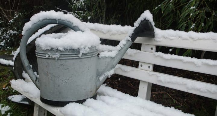 5 Winter Assignments that Prepare for Your Best Spring Garden Yet