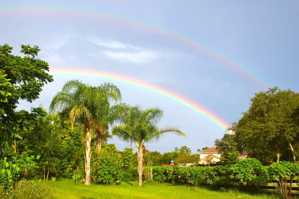 With Rain, You Get Rainbows