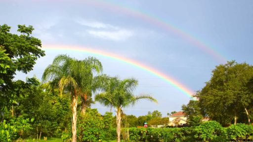 With Rain, You Get Rainbows