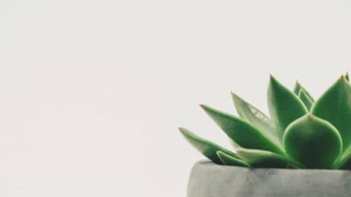 Living With Less