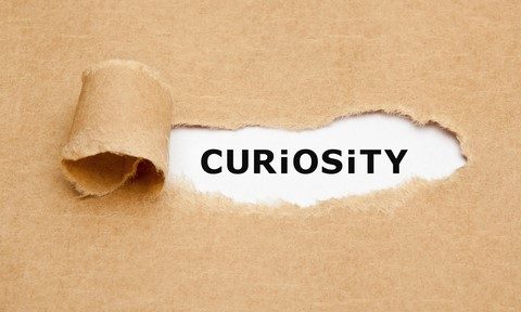 The Art of Being Curious