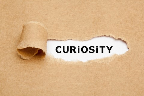 The Art of Being Curious