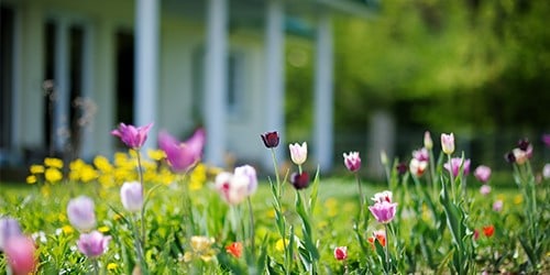 Spring Into Your March Home Maintenance