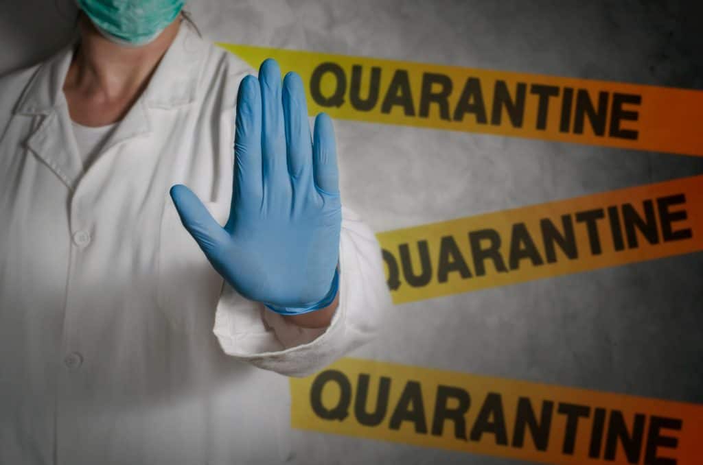 Quarantine Revelations