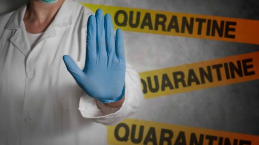 Quarantine Revelations