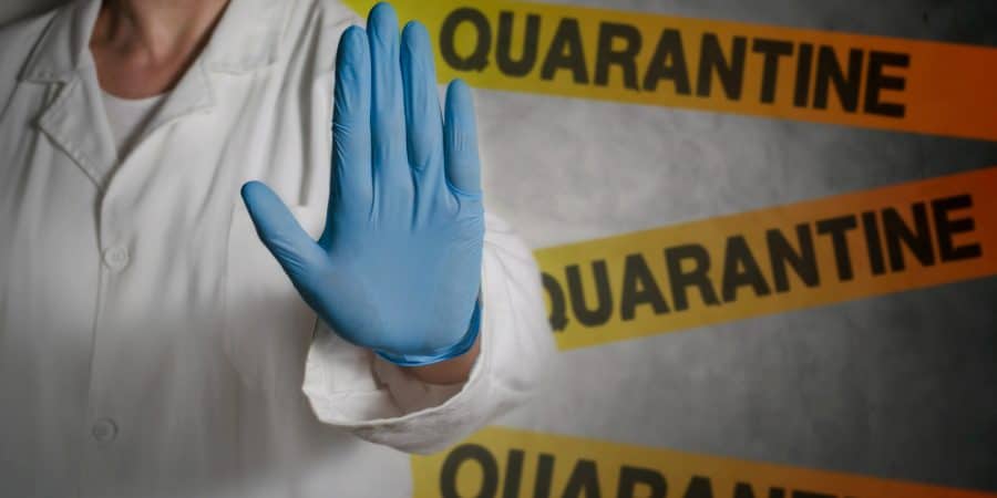 Quarantine Revelations