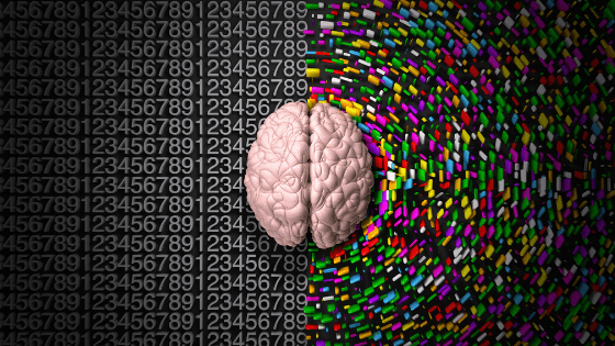 Left Brain or Right Brain?