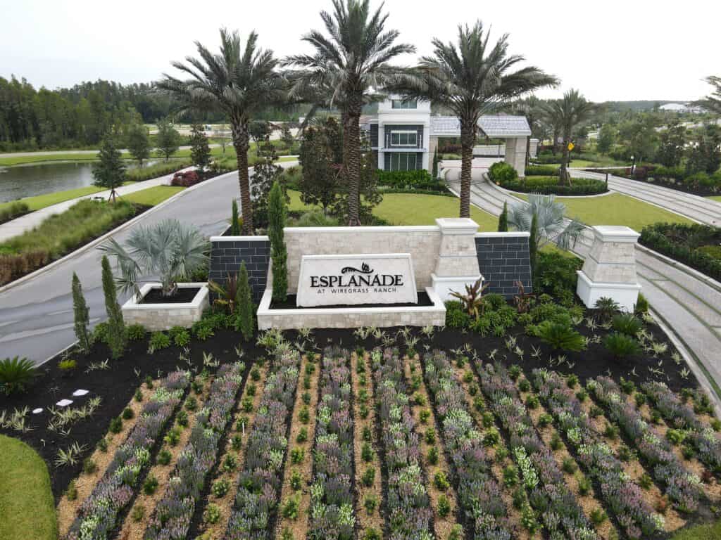 Esplanade at Wiregrass Ranch