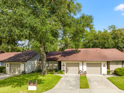 Bright Tampa suburban homes with manicured lawns, lush trees, and residential driveways, showcasing appealing house exteriors.
