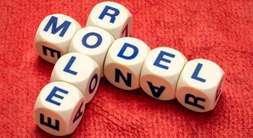 Who is your role model?
